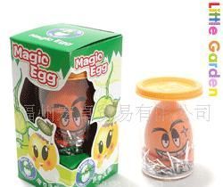 迷你植物無土栽培 蛋殼魔土打造創(chuàng)意禮品花卉